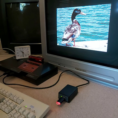 Loading a picture of a duck from a USB drive.