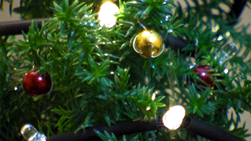 Animation showing twinkling fairy lights